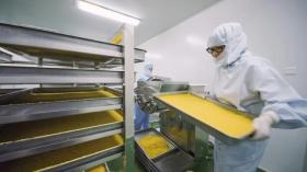 專注微量元素事業23年 山東新稀寶：做百姓放心的微量元素專家